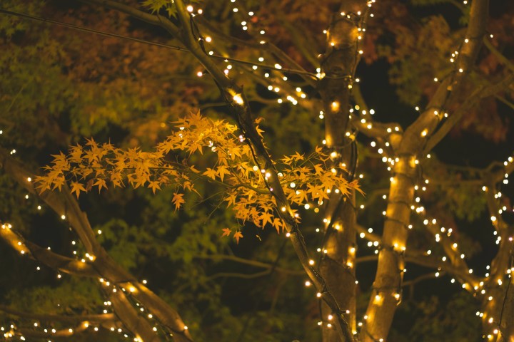 6 Fall Lighting Ideas For A Cozy Autumn fall lights