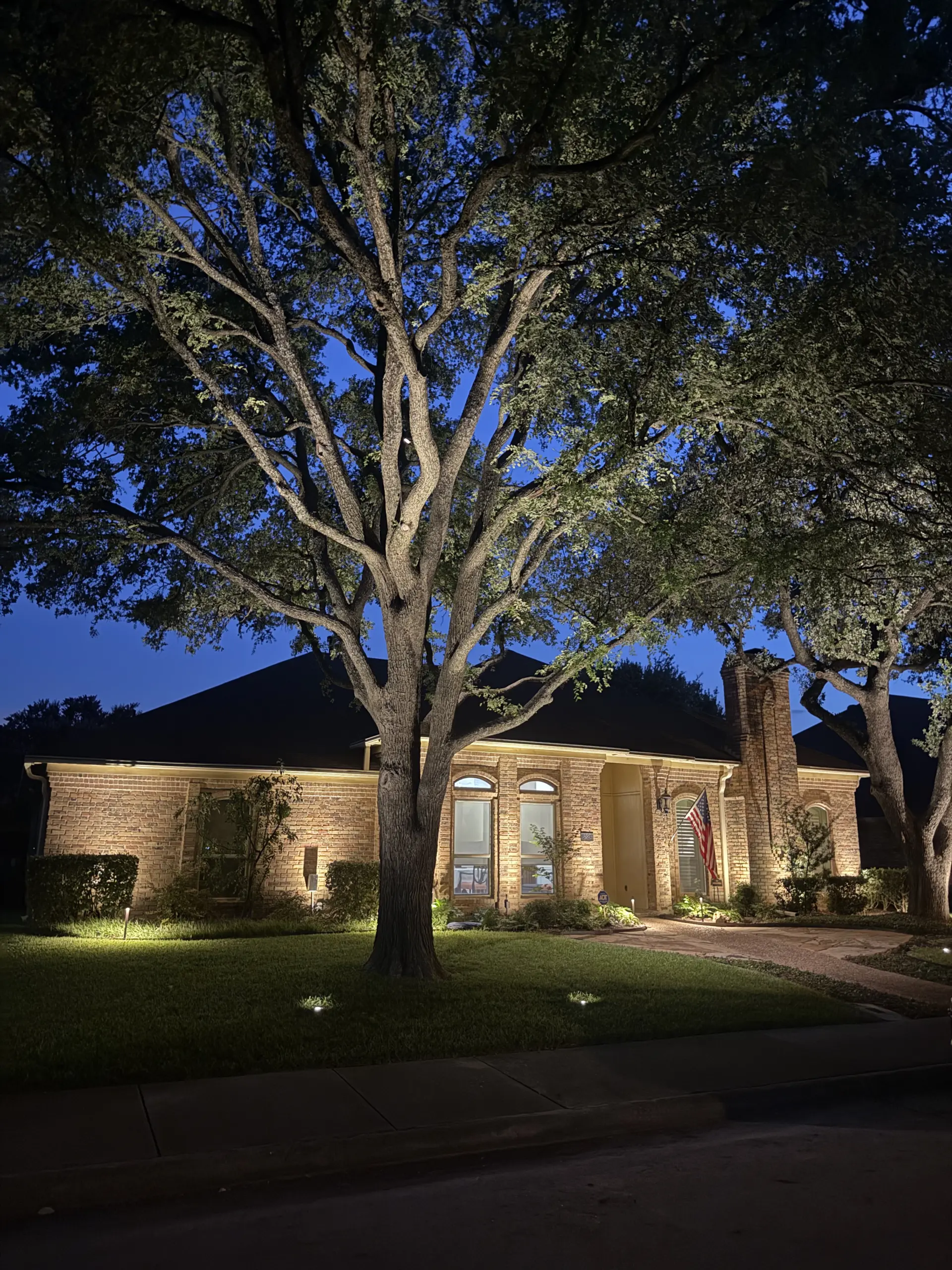 Home Outdoor Lighting Transformation in Dallas, TX