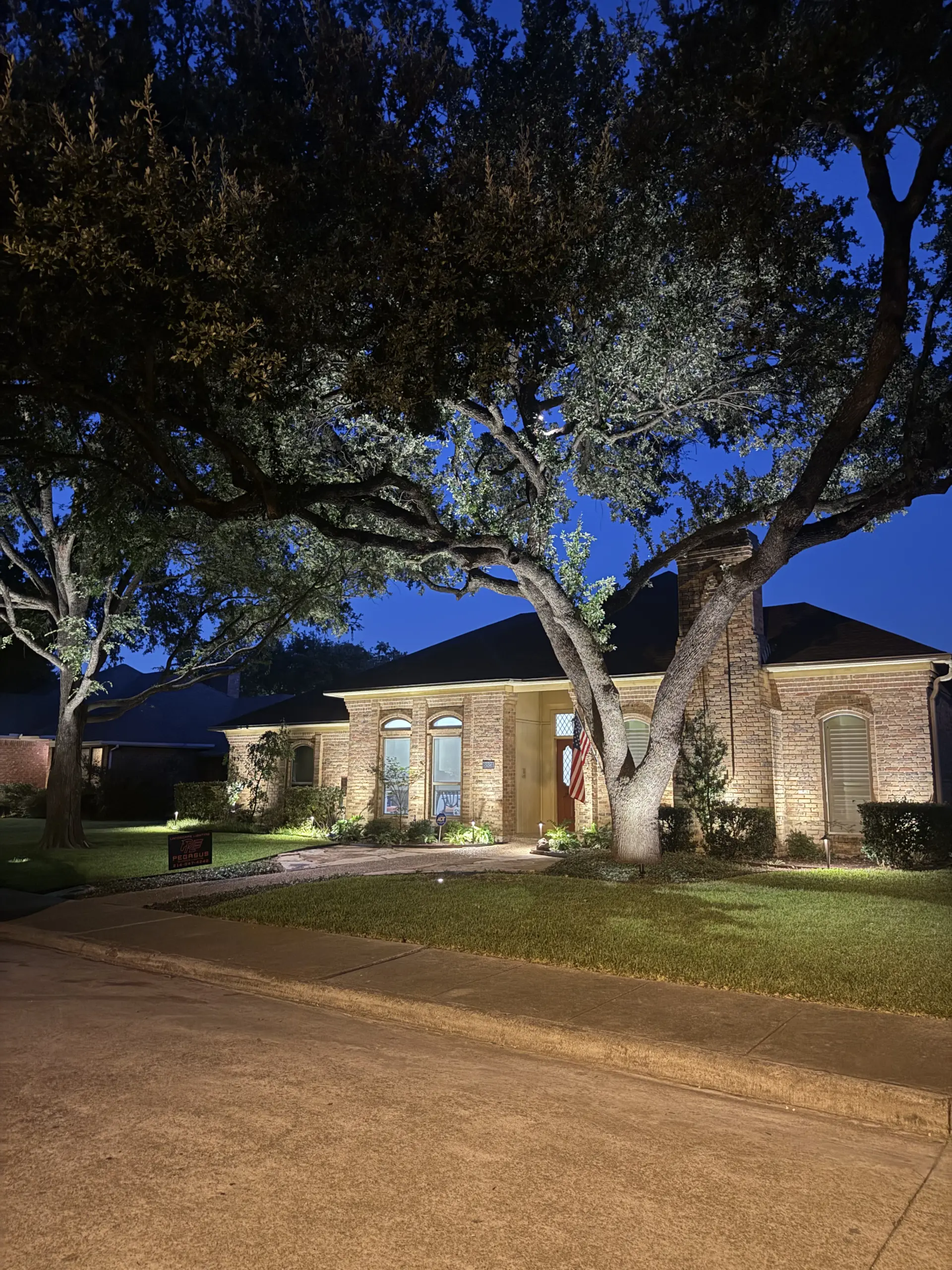 Home Outdoor Lighting Transformation in Dallas, TX