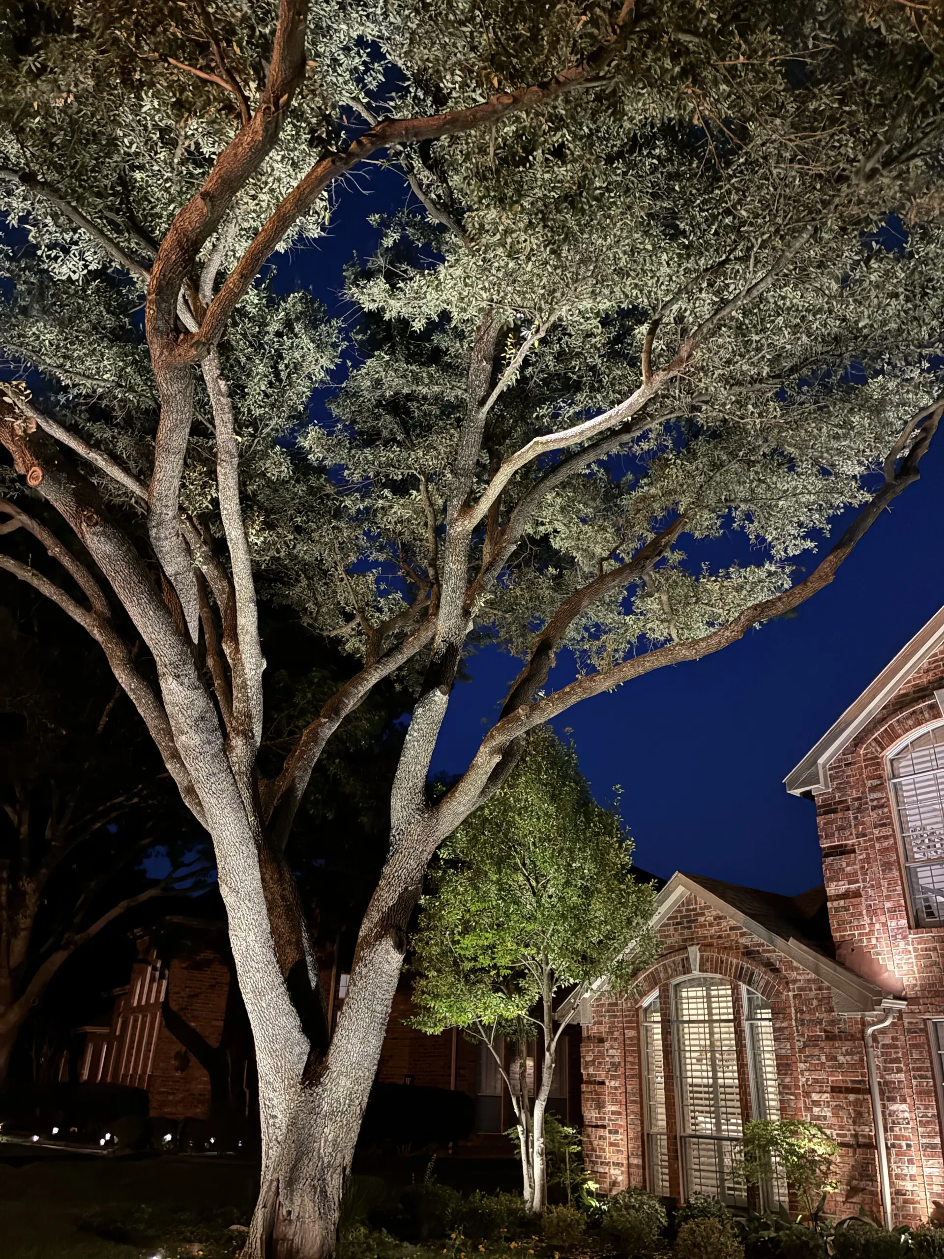 Allen, TX Home Outdoor Lighting Transformation